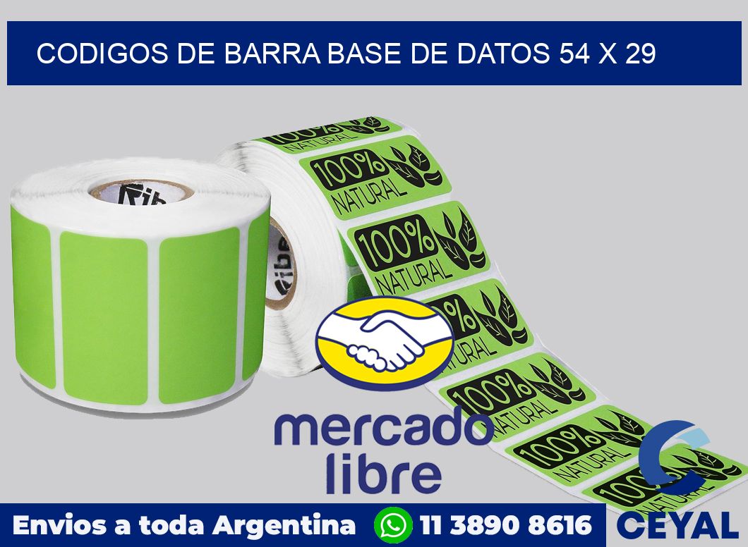 Codigos de barra base de datos 54 x 29