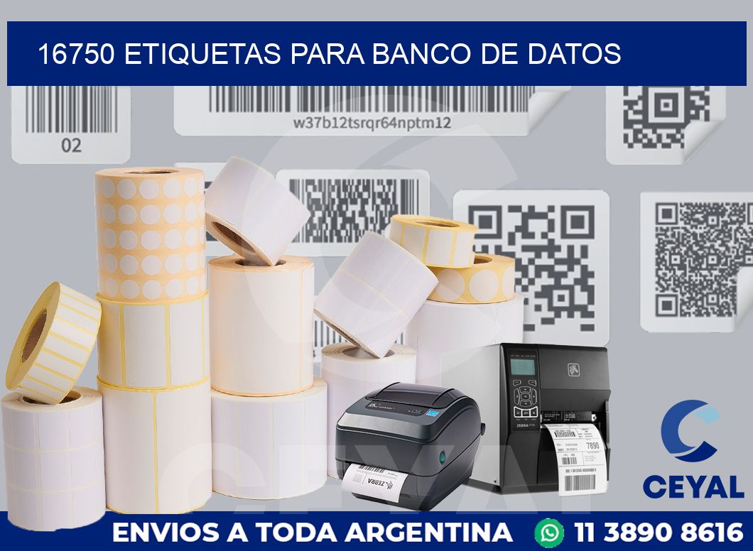16750 ETIQUETAS PARA BANCO DE DATOS