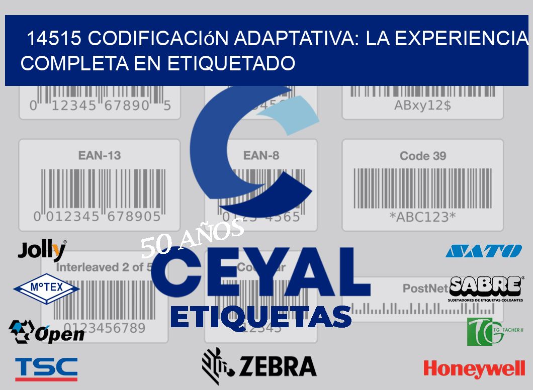 14515 Codificación Adaptativa: La Experiencia Completa en Etiquetado