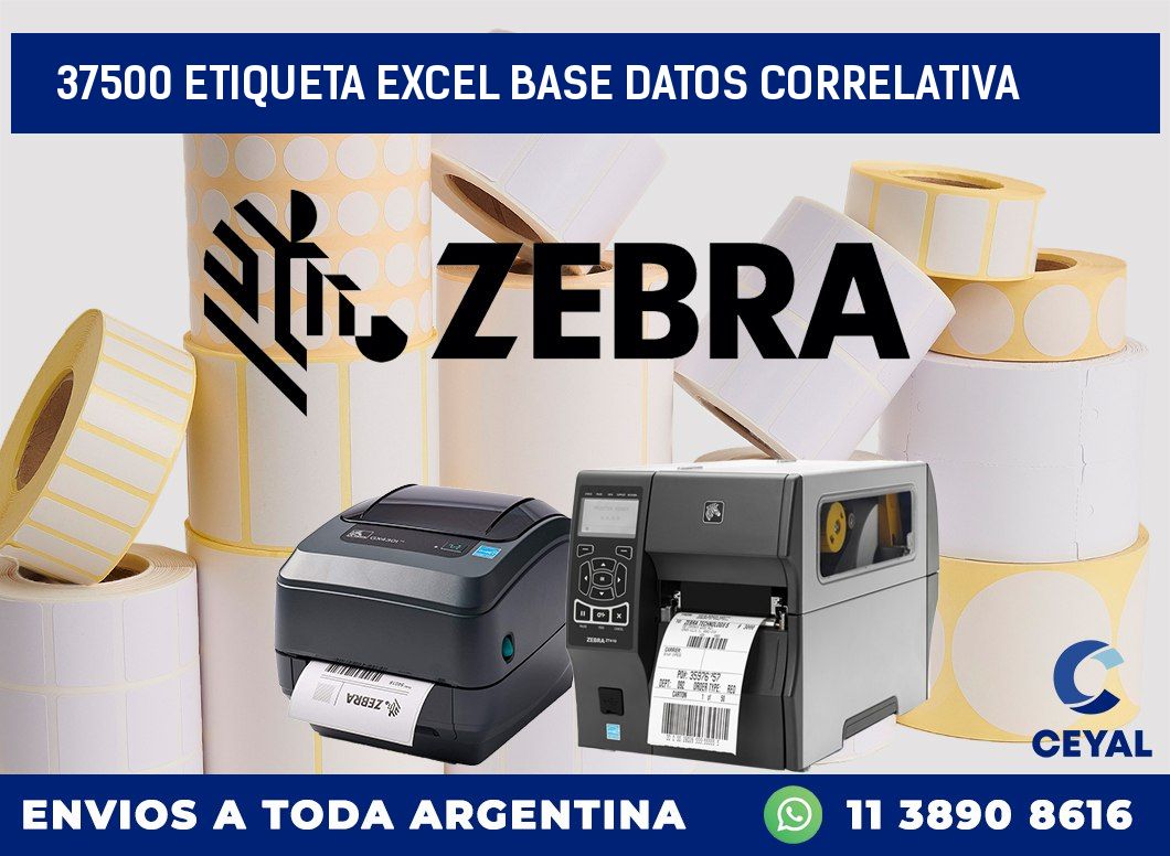 37500 etiqueta excel base datos correlativa