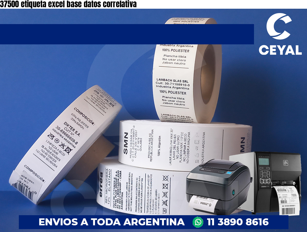 37500 etiqueta excel base datos correlativa