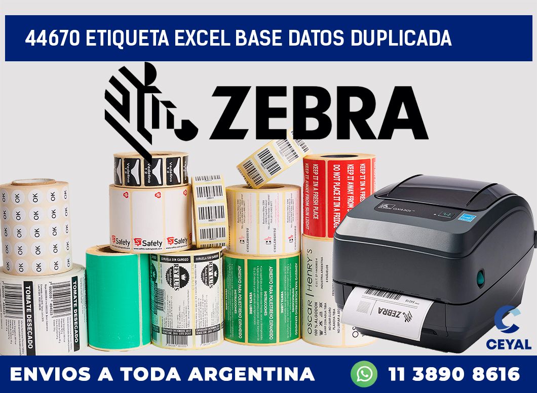 44670 etiqueta excel base datos duplicada