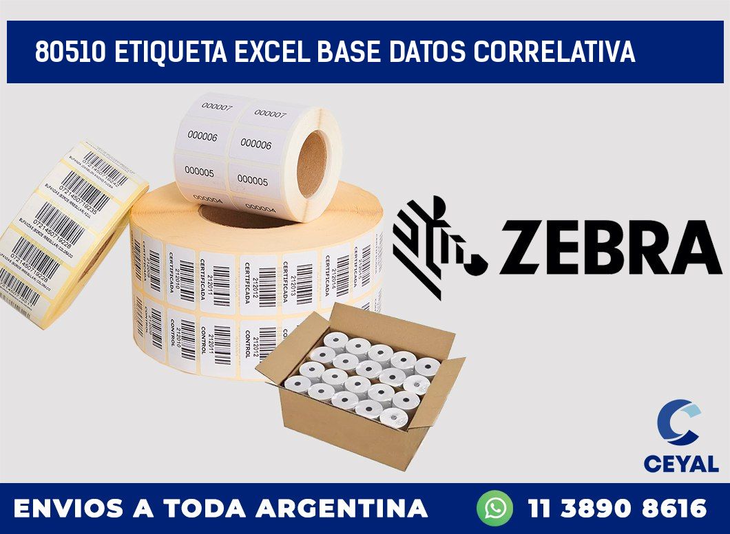 80510 etiqueta excel base datos correlativa