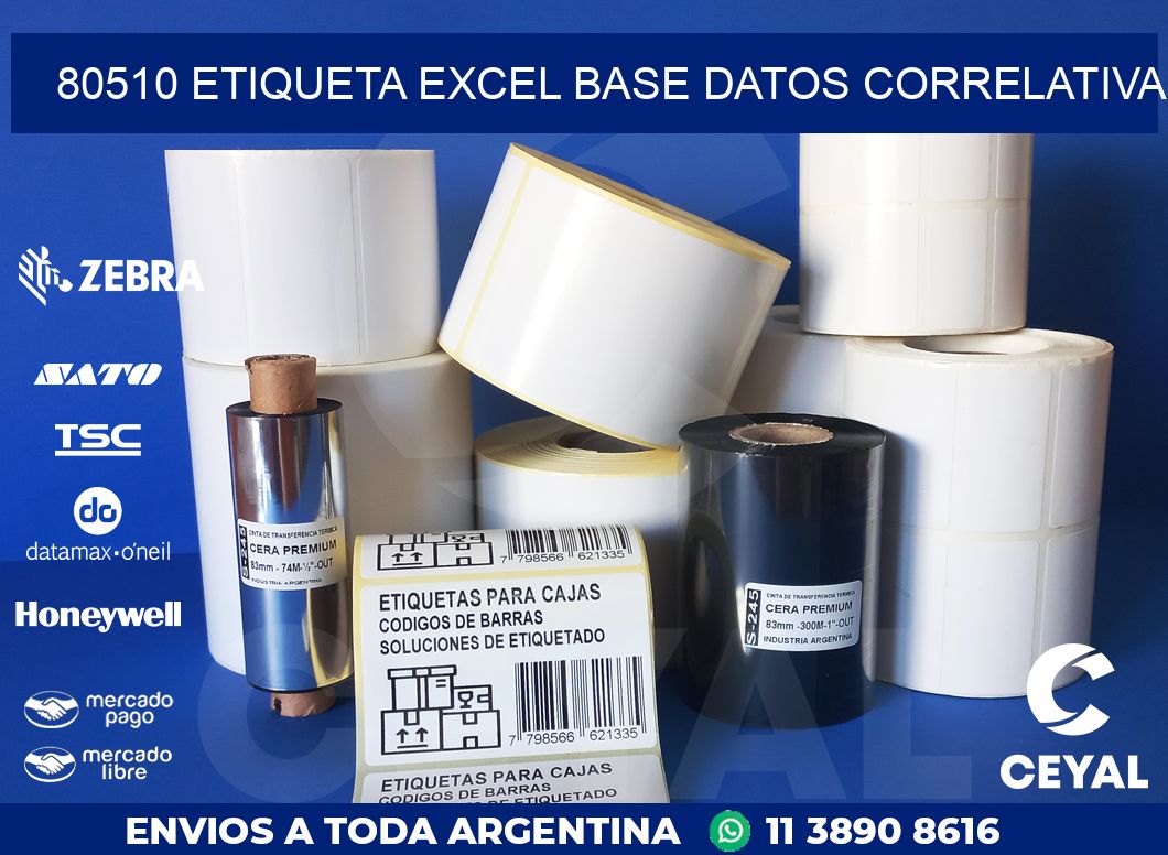 80510 etiqueta excel base datos correlativa