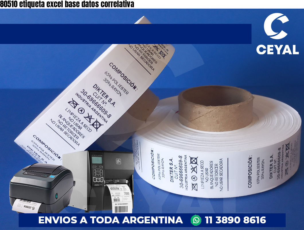 80510 etiqueta excel base datos correlativa