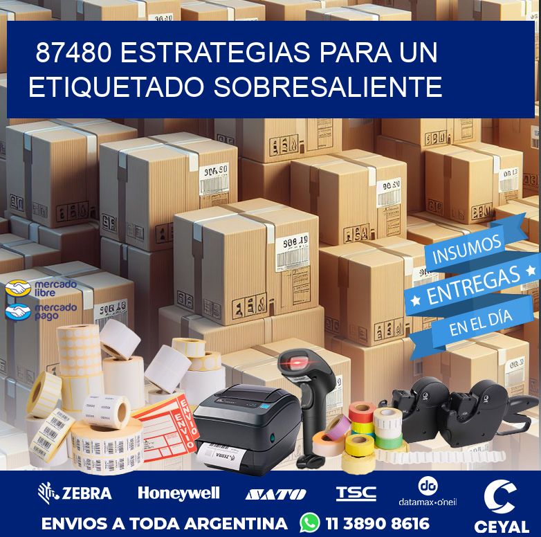 87480 ESTRATEGIAS PARA UN ETIQUETADO SOBRESALIENTE