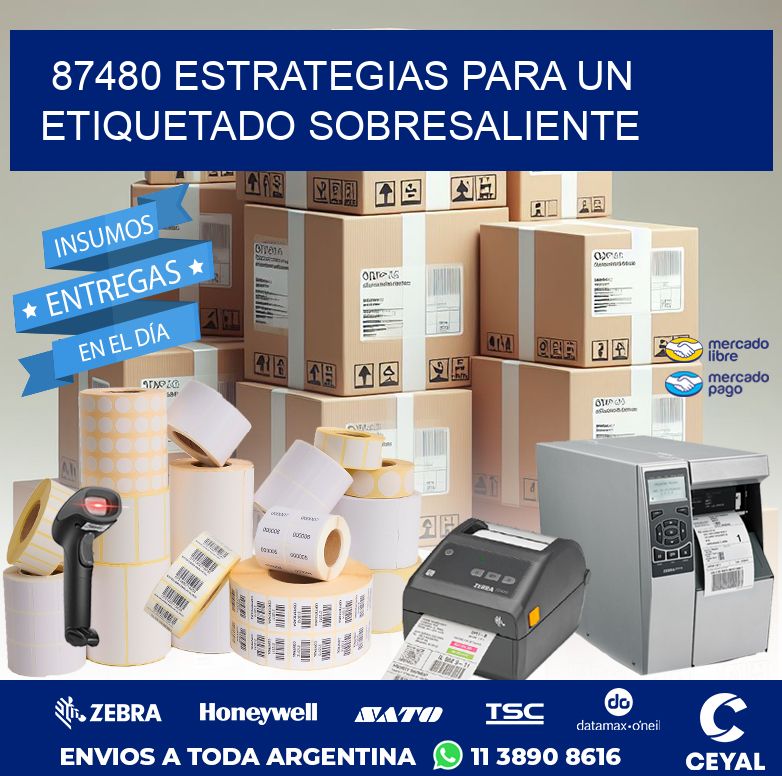 87480 ESTRATEGIAS PARA UN ETIQUETADO SOBRESALIENTE