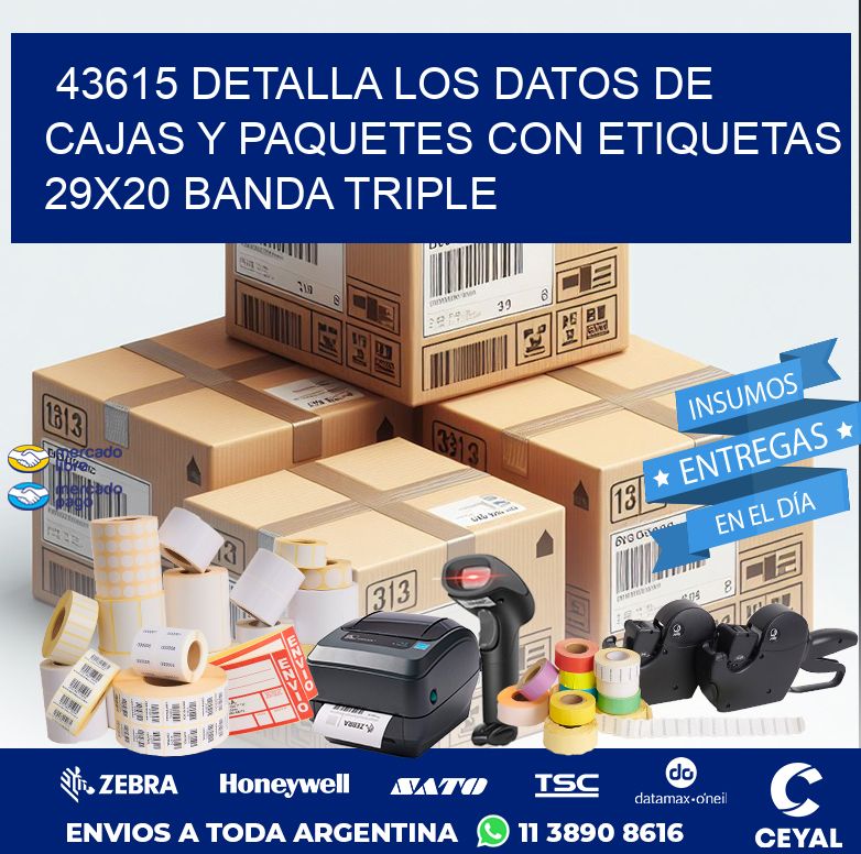 43615 DETALLA LOS DATOS DE CAJAS Y PAQUETES CON ETIQUETAS 29X20 BANDA TRIPLE