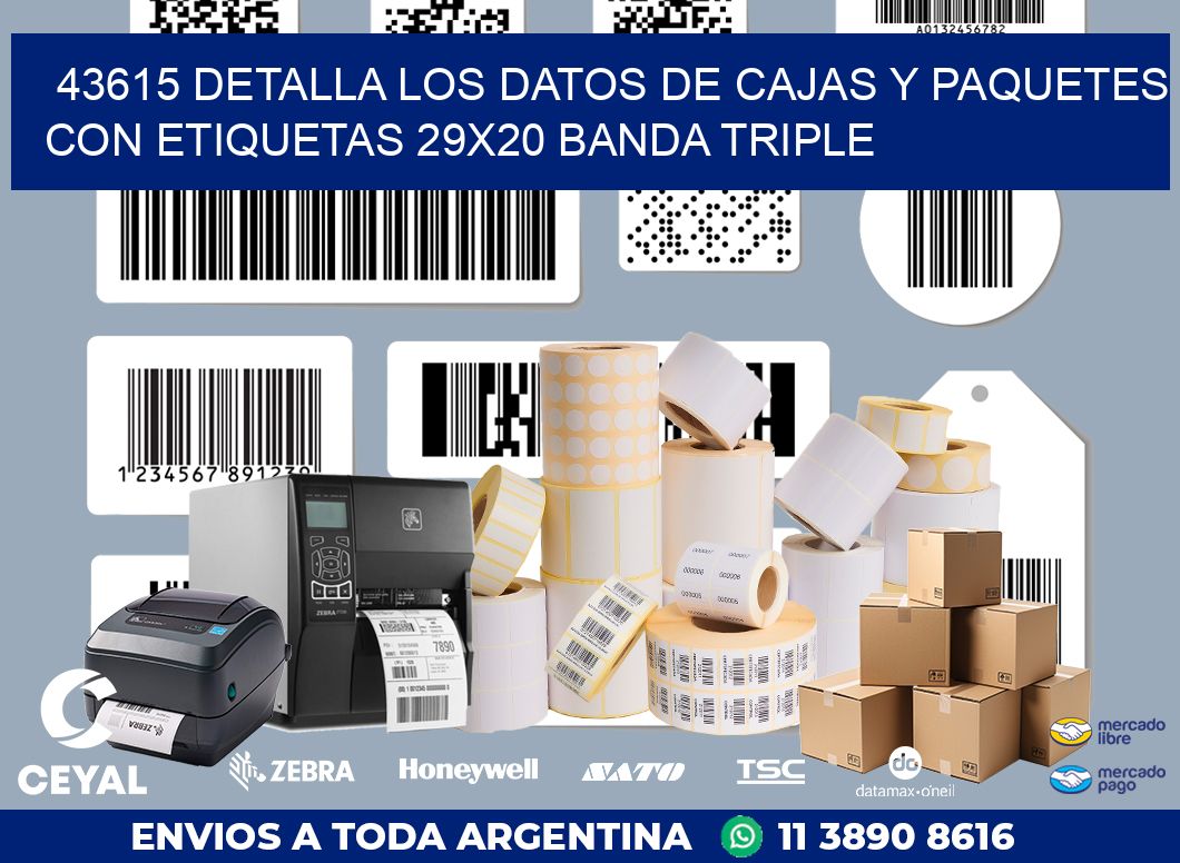 43615 DETALLA LOS DATOS DE CAJAS Y PAQUETES CON ETIQUETAS 29X20 BANDA TRIPLE