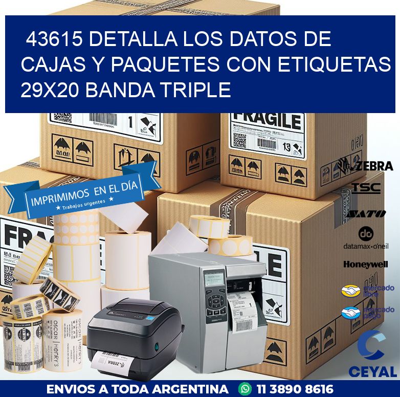 43615 DETALLA LOS DATOS DE CAJAS Y PAQUETES CON ETIQUETAS 29X20 BANDA TRIPLE