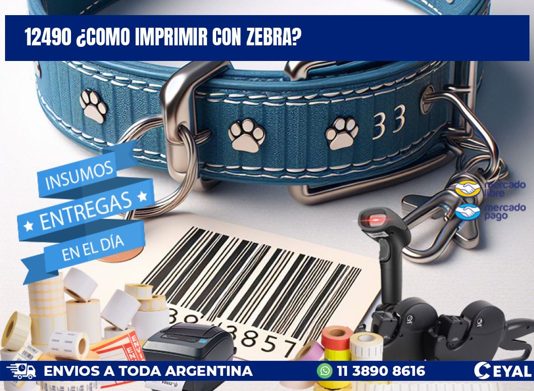 12490 ¿COMO IMPRIMIR CON ZEBRA?