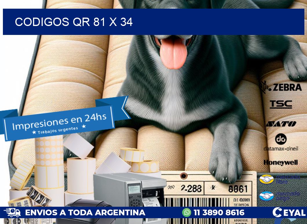 CODIGOS QR 81 x 34
