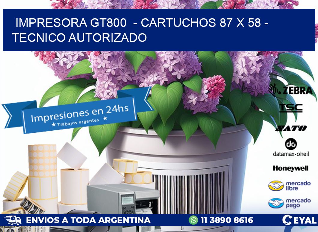 IMPRESORA GT800  - CARTUCHOS 87 x 58 - TECNICO AUTORIZADO