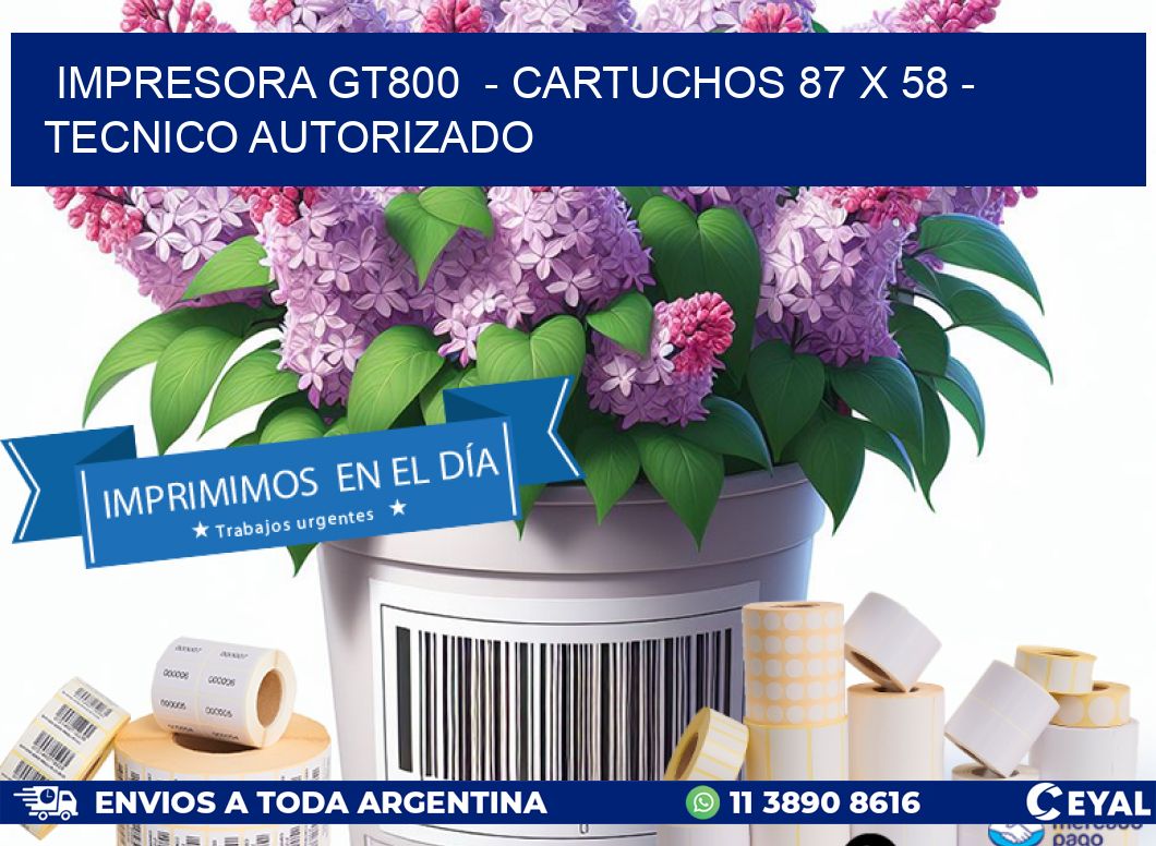 IMPRESORA GT800  - CARTUCHOS 87 x 58 - TECNICO AUTORIZADO