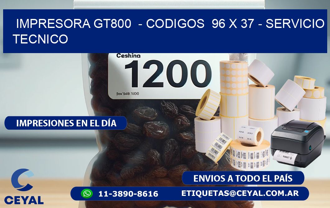 IMPRESORA GT800  - CODIGOS  96 x 37 - SERVICIO TECNICO