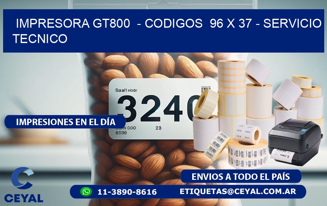 IMPRESORA GT800  - CODIGOS  96 x 37 - SERVICIO TECNICO