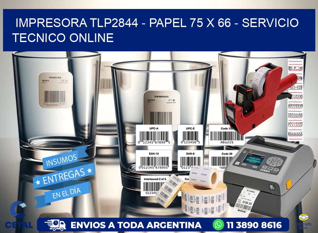 IMPRESORA TLP2844 - PAPEL 75 x 66 - SERVICIO TECNICO ONLINE