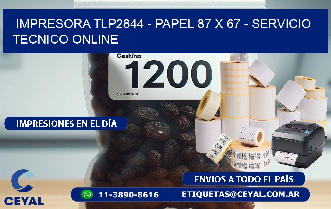 IMPRESORA TLP2844 - PAPEL 87 x 67 - SERVICIO TECNICO ONLINE