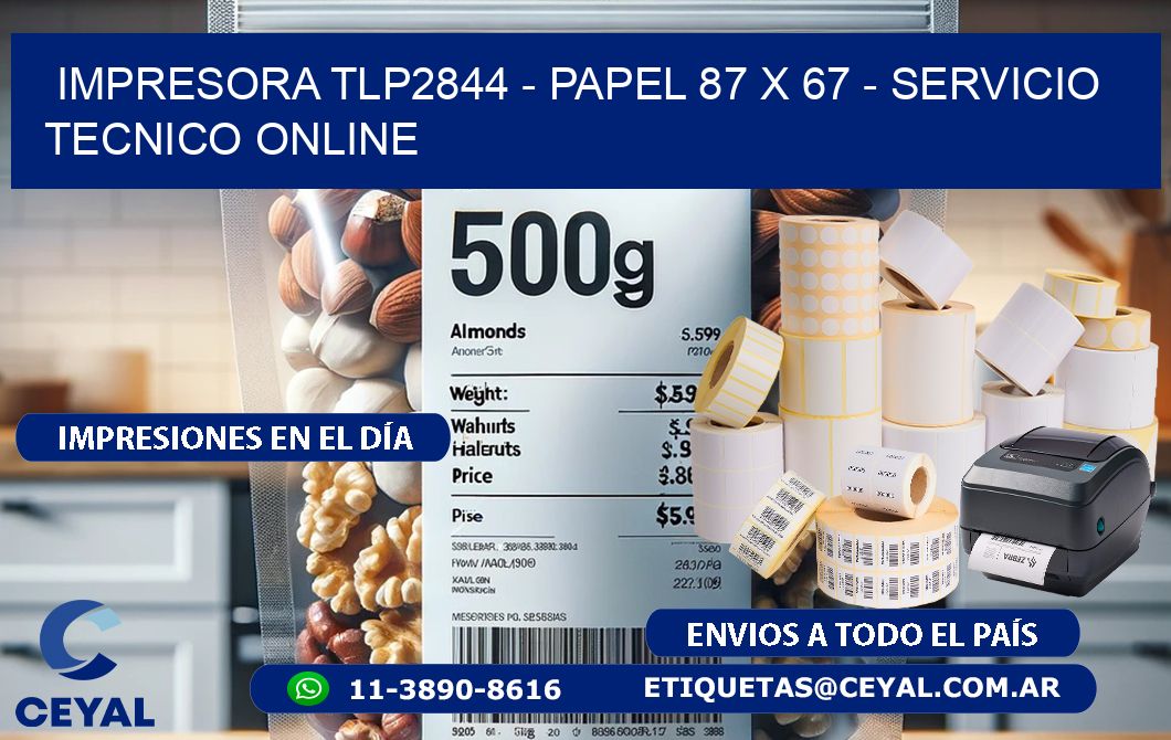 IMPRESORA TLP2844 - PAPEL 87 x 67 - SERVICIO TECNICO ONLINE