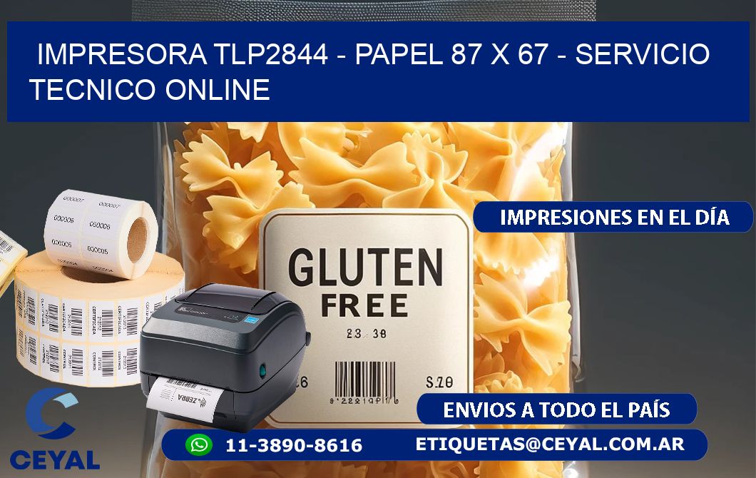 IMPRESORA TLP2844 - PAPEL 87 x 67 - SERVICIO TECNICO ONLINE