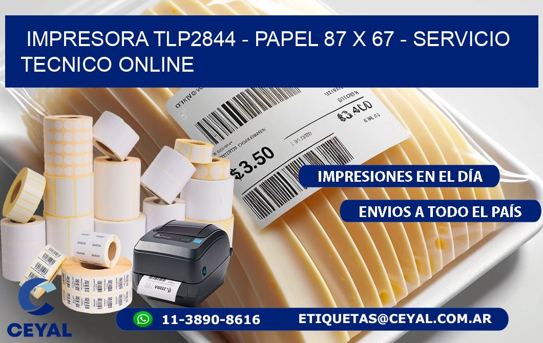 IMPRESORA TLP2844 - PAPEL 87 x 67 - SERVICIO TECNICO ONLINE