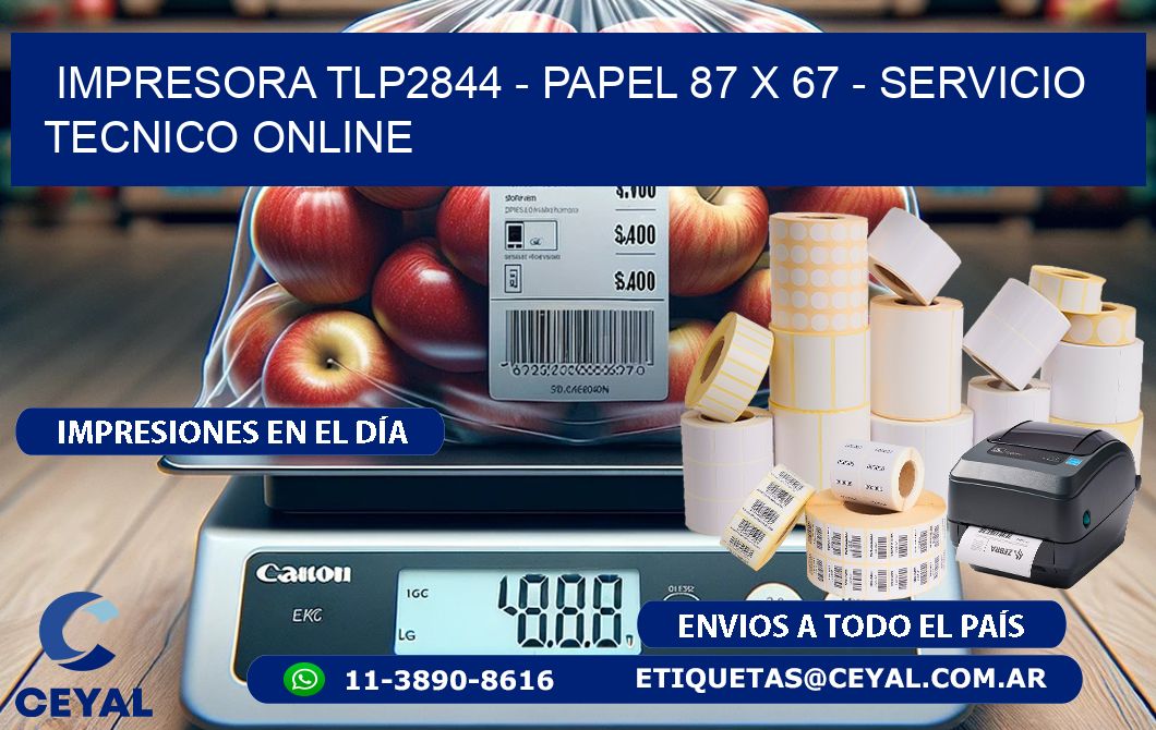 IMPRESORA TLP2844 – PAPEL 87 x 67 – SERVICIO TECNICO ONLINE