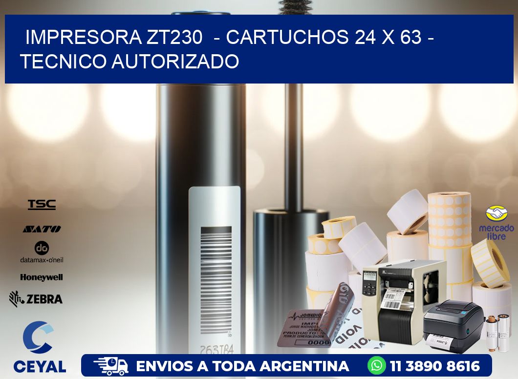 IMPRESORA ZT230  - CARTUCHOS 24 x 63 - TECNICO AUTORIZADO