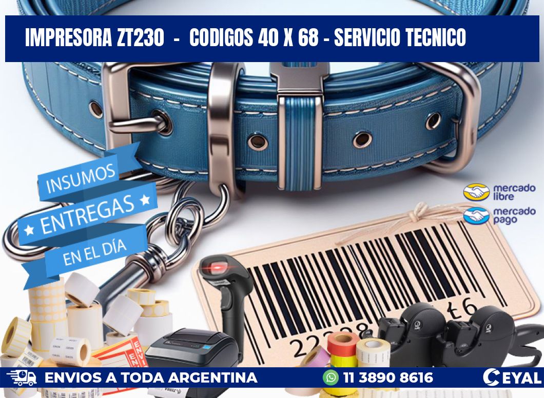 IMPRESORA ZT230  -  CODIGOS 40 x 68 - SERVICIO TECNICO