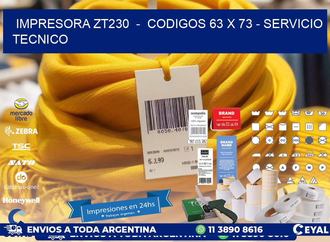 IMPRESORA ZT230  -  CODIGOS 63 x 73 - SERVICIO TECNICO