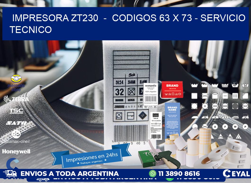 IMPRESORA ZT230  -  CODIGOS 63 x 73 - SERVICIO TECNICO