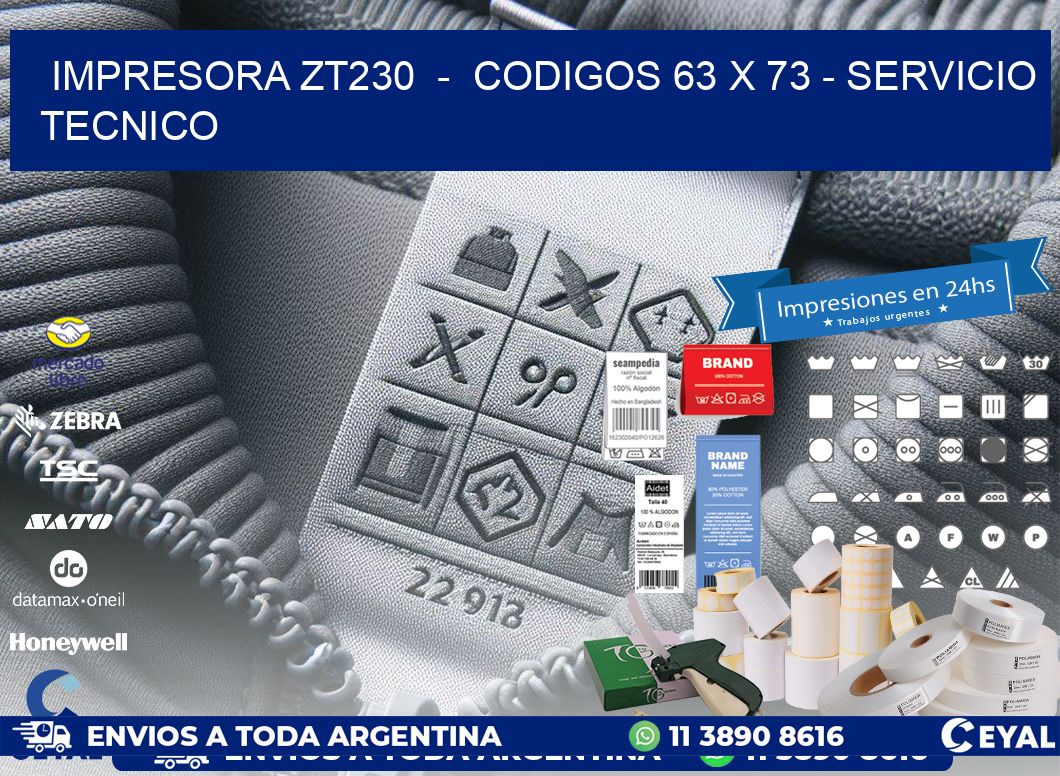 IMPRESORA ZT230  -  CODIGOS 63 x 73 - SERVICIO TECNICO