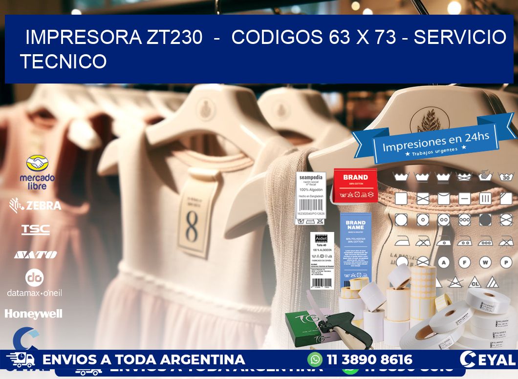 IMPRESORA ZT230  -  CODIGOS 63 x 73 - SERVICIO TECNICO