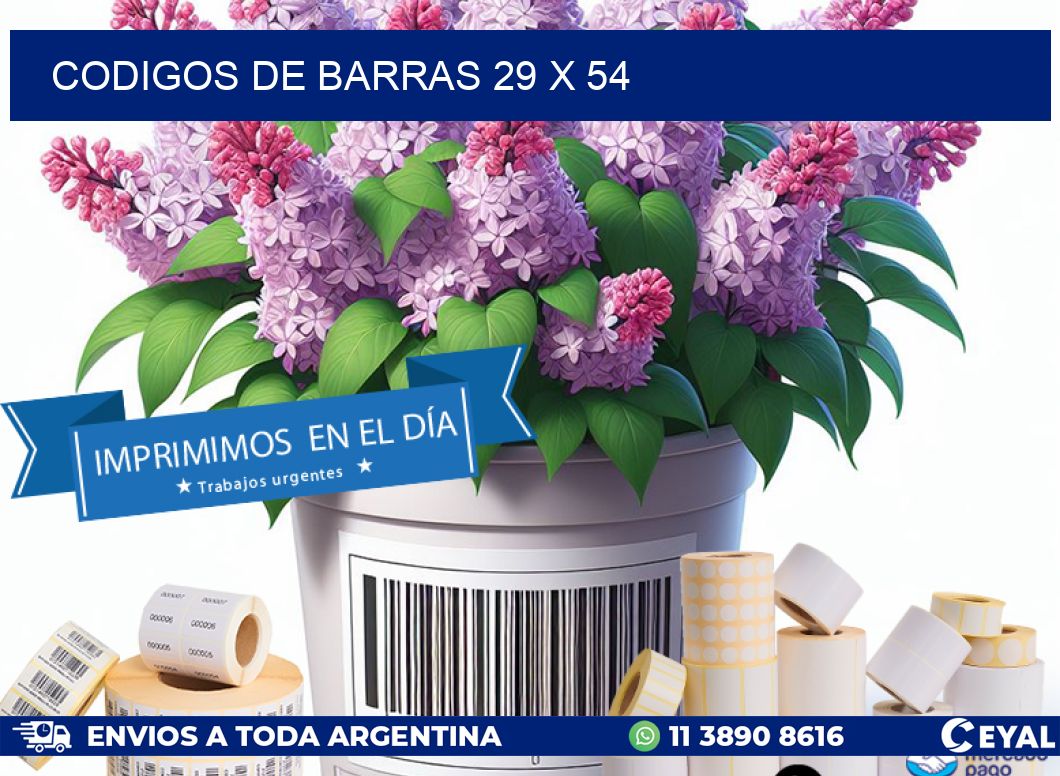 codigos de barras 29 x 54