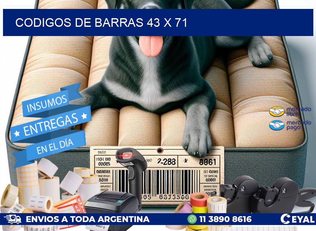 codigos de barras 43 x 71