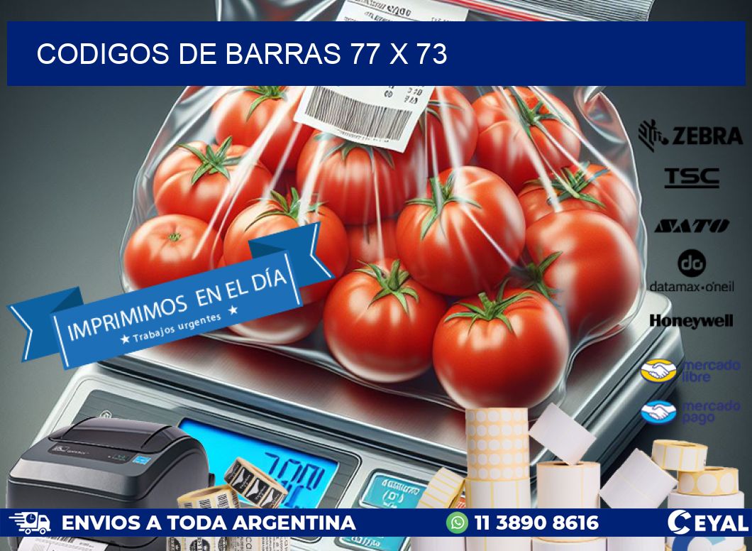 codigos de barras 77 x 73