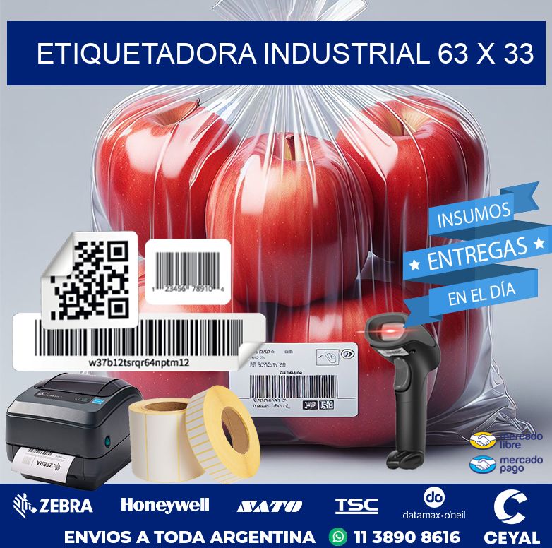 etiquetadora industrial 63 x 33