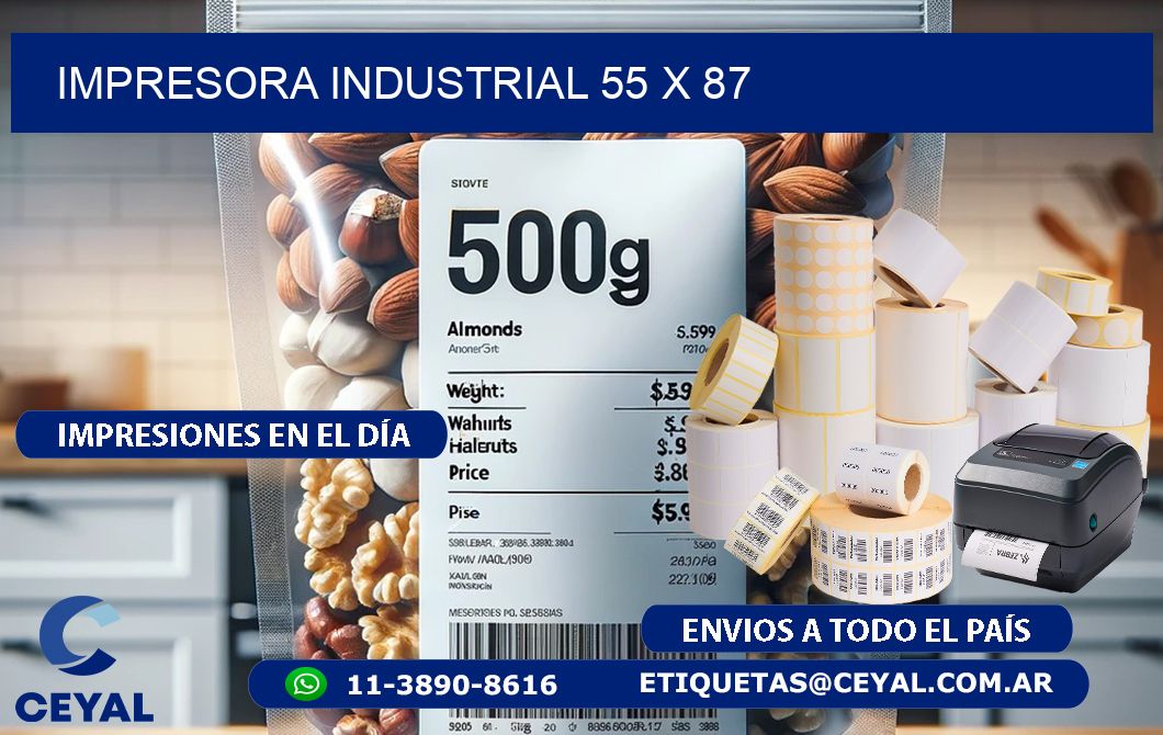 impresora industrial 55 x 87