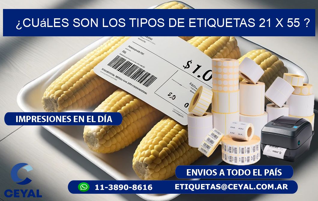 ¿Cuáles son los tipos de etiquetas 21 x 55 ?