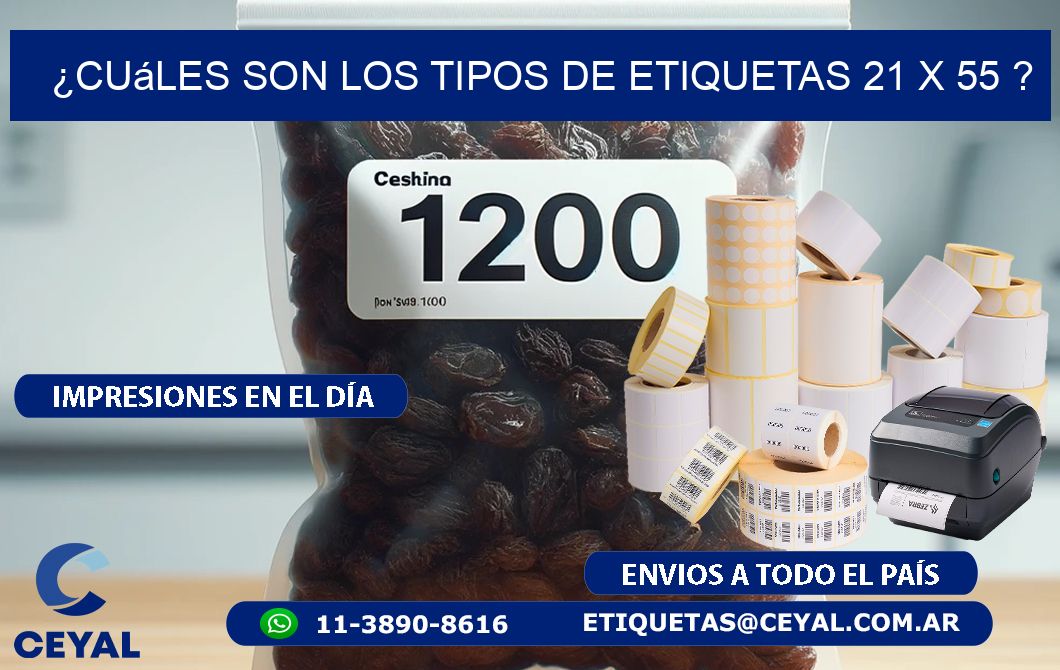 ¿Cuáles son los tipos de etiquetas 21 x 55 ?