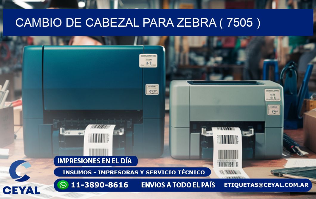 CAMBIO DE CABEZAL PARA ZEBRA ( 7505 )