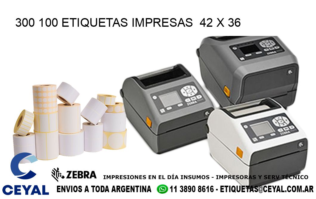 300 100 ETIQUETAS IMPRESAS  42 x 36