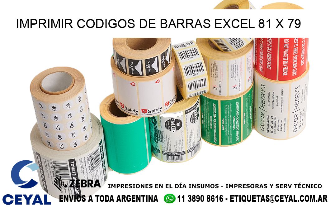 IMPRIMIR CODIGOS DE BARRAS EXCEL 81 x 79