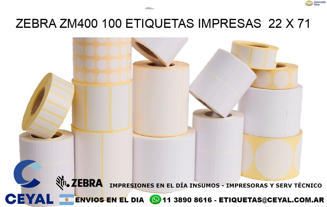 ZEBRA ZM400 100 ETIQUETAS IMPRESAS 22 x 71