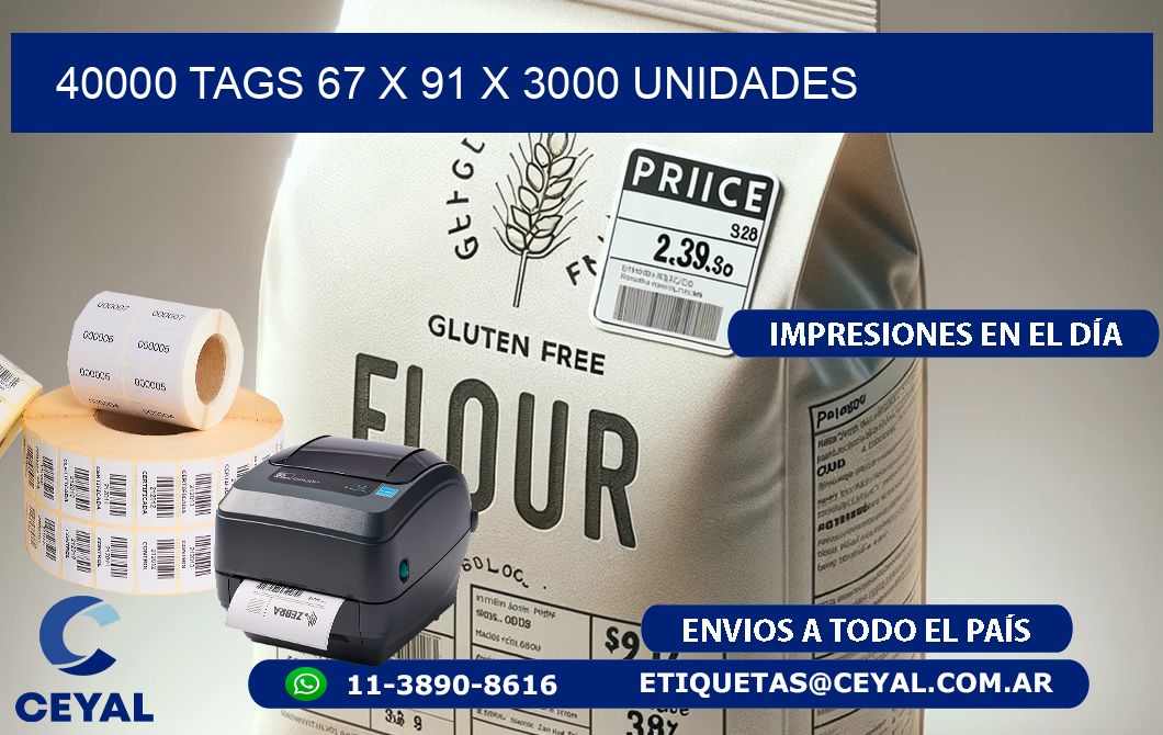 40000 TAGS 67 x 91 X 3000 UNIDADES