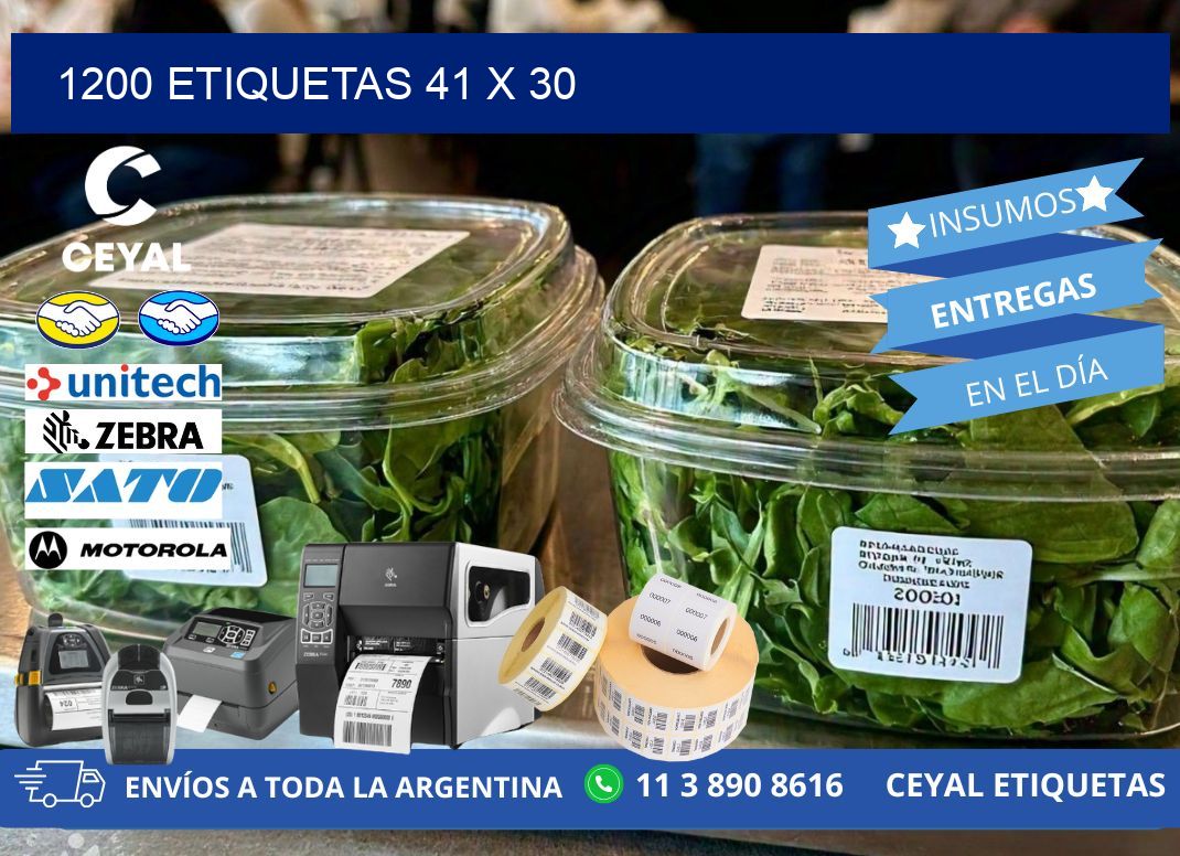1200 ETIQUETAS 41 x 30
