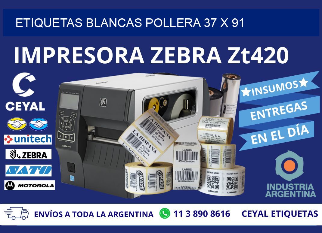 ETIQUETAS BLANCAS POLLERA 37 x 91