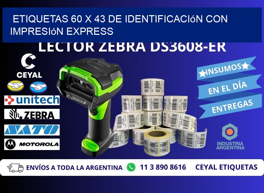 Etiquetas 60 x 43 de Identificación con Impresión Express