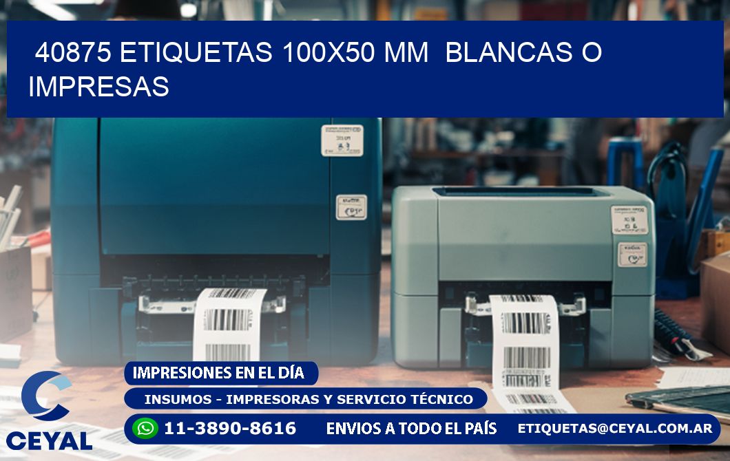 40875 ETIQUETAS 100x50 mm  BLANCAS O IMPRESAS