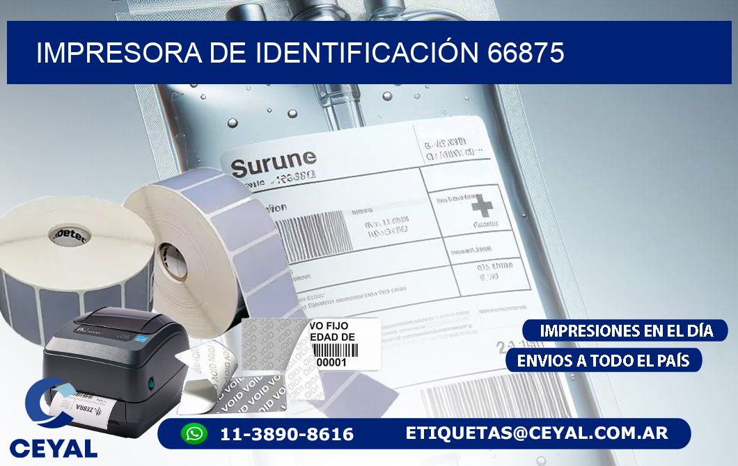 IMPRESORA DE IDENTIFICACIÓN 66875