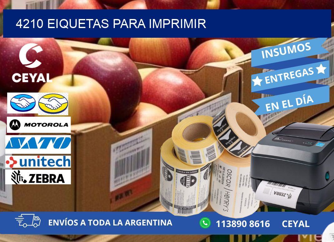 4210 EIQUETAS PARA IMPRIMIR